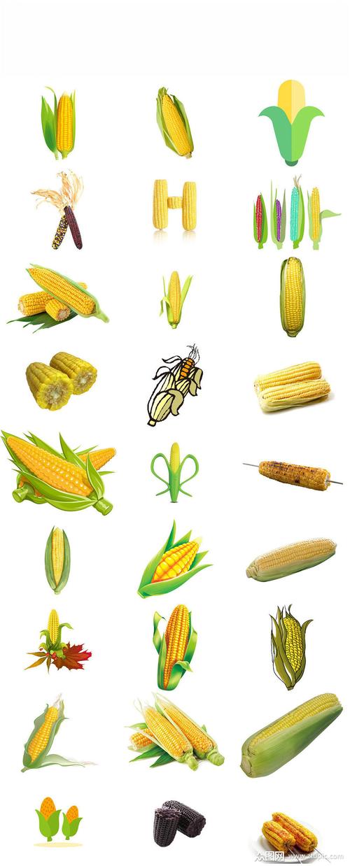农作物玉米免抠png图片素材素材